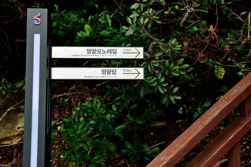 파일:haenam2024 143.jpg