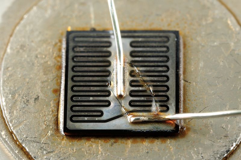 파일:nikon1 056.jpg