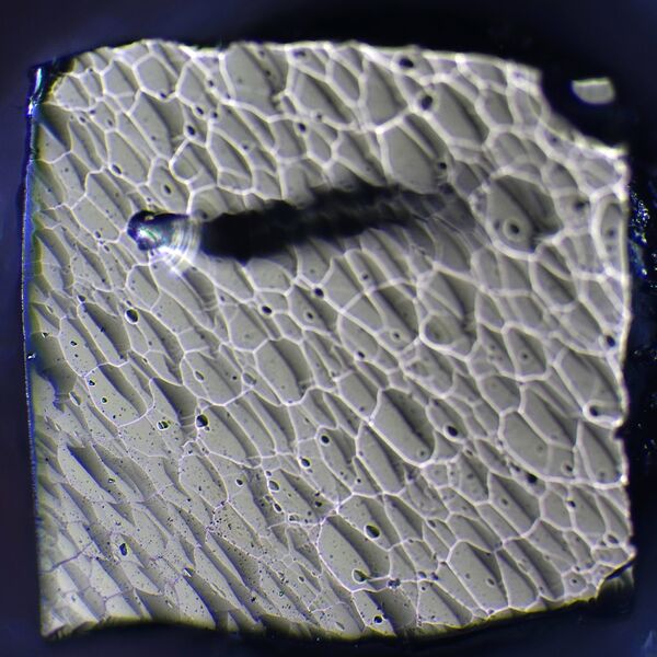 파일:yhp4260a 048 008.jpg