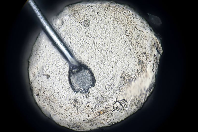 파일:tr metal01 010.jpg