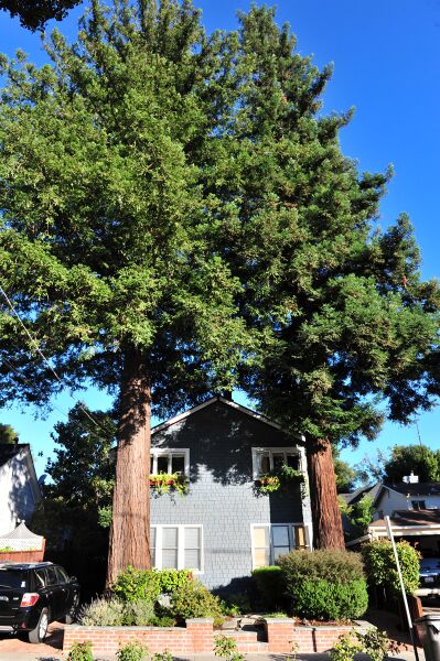 파일:120705 071602.jpg