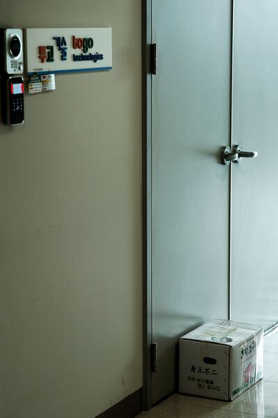 파일:potato sweet01 001.jpg