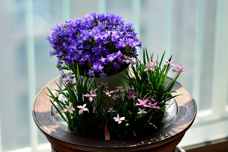 파일:220403 151214.jpg