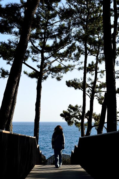 파일:260223 162452.jpg