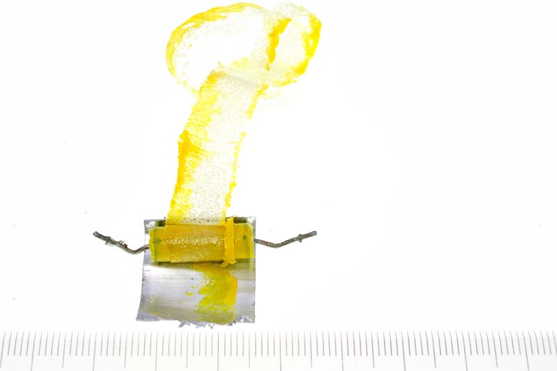 파일:film04 002.jpg