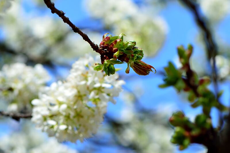 파일:gaesimsa26 016.jpg