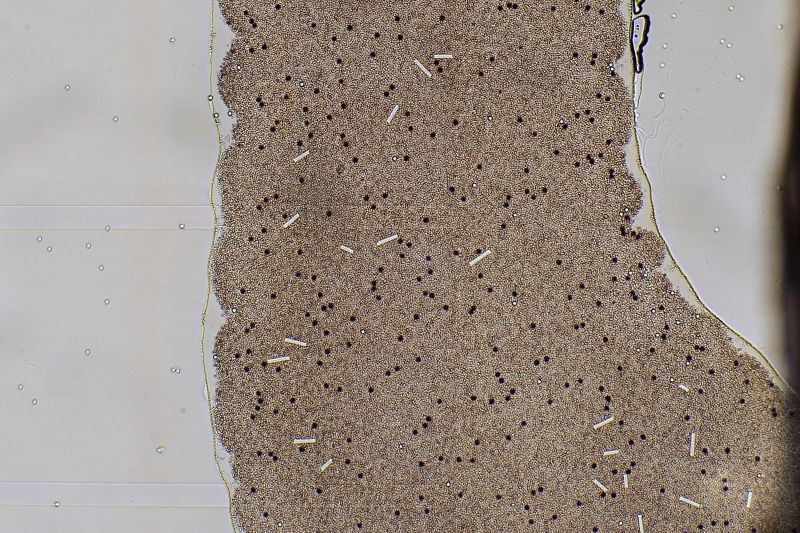 파일:lcd04 011.jpg