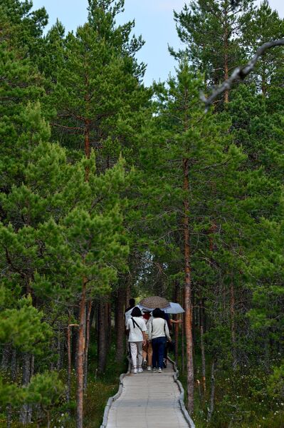 파일:230621 150412.jpg