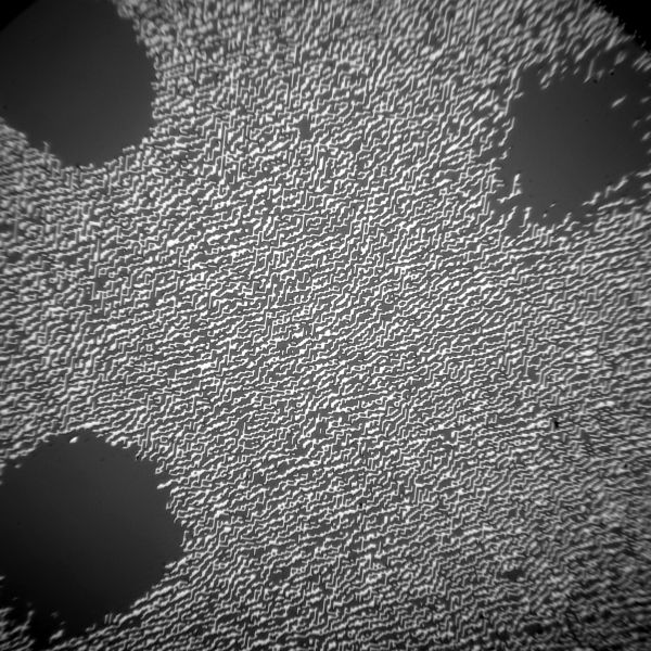 파일:hologram1 002.jpg