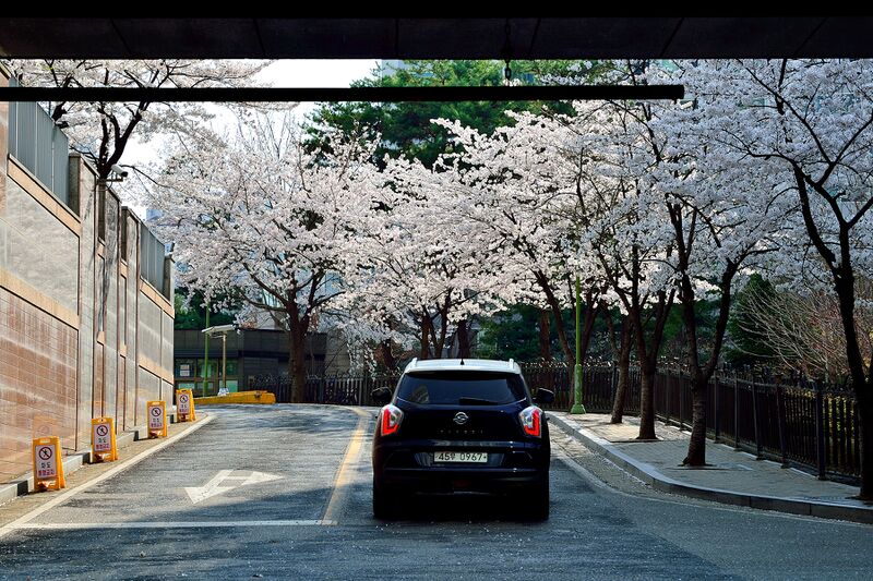 파일:house03 015 004.jpg