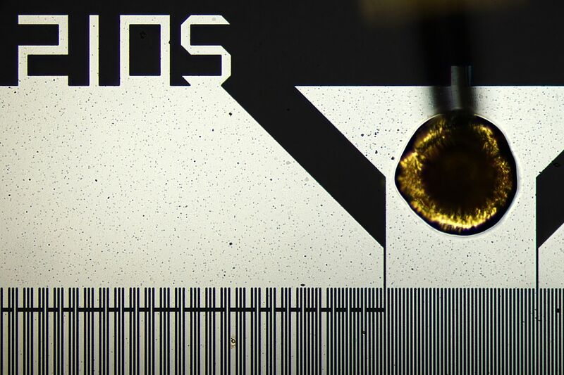 파일:saw if 210 01 003.jpg