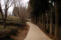 040320 082058.jpg