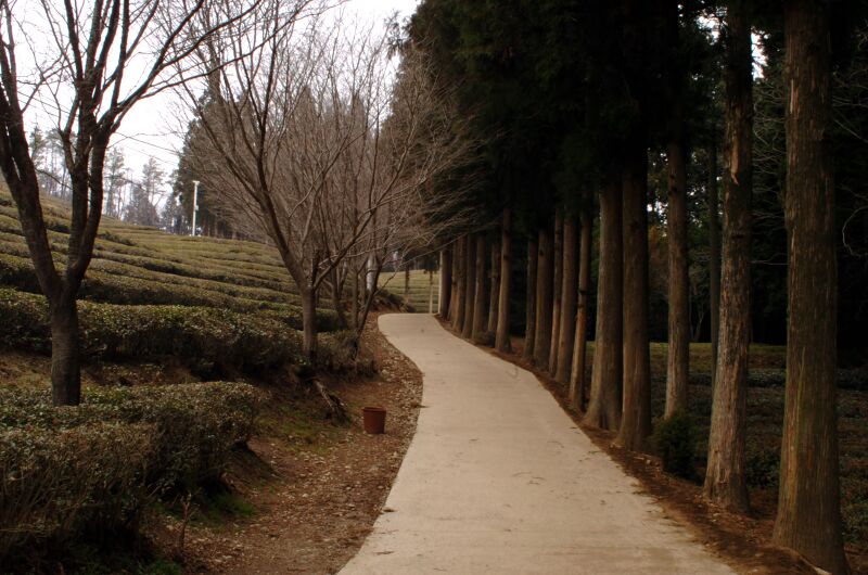 파일:040320 082058.jpg