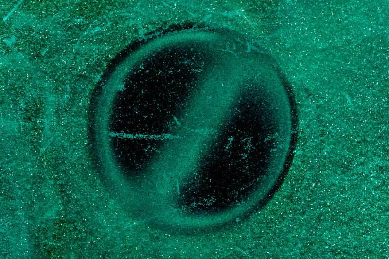 파일:brushed dc motor09 008.jpg