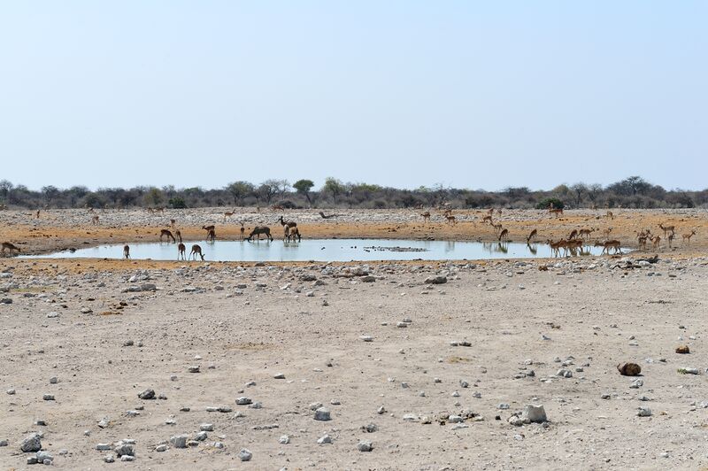 파일:240910 110842.jpg