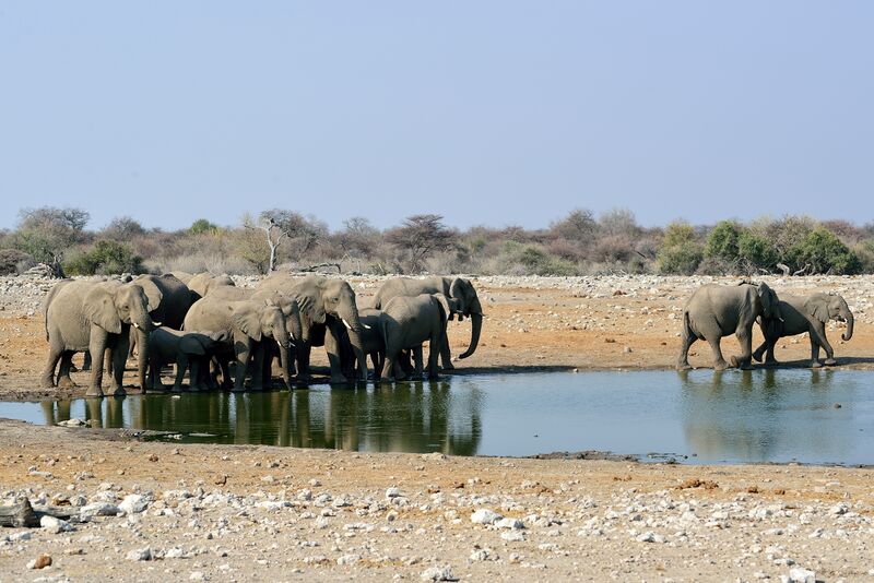 파일:240910 161534.jpg