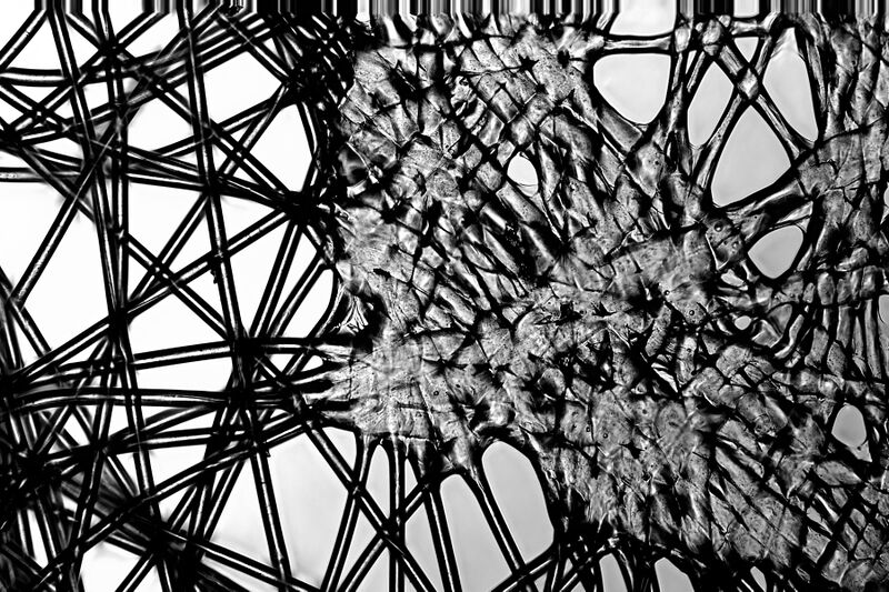 파일:mask01 008.jpg