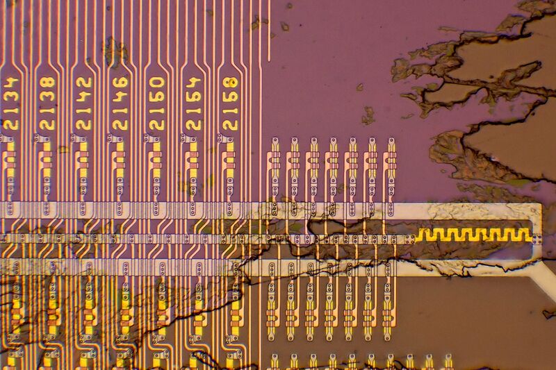 파일:oled02 006.jpg