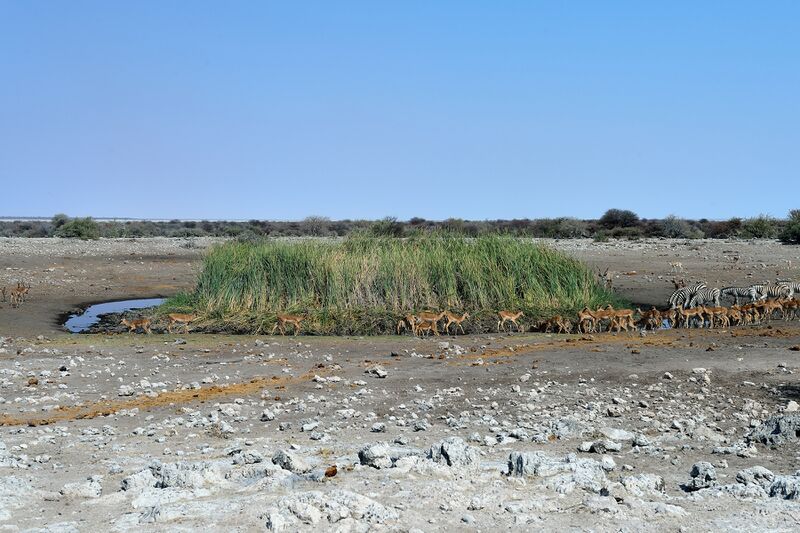 파일:240910 104228.jpg