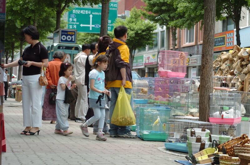 파일:040522 114700.jpg