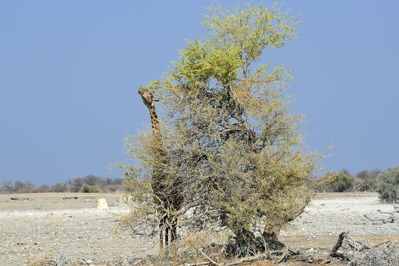 파일:240910 160714.jpg