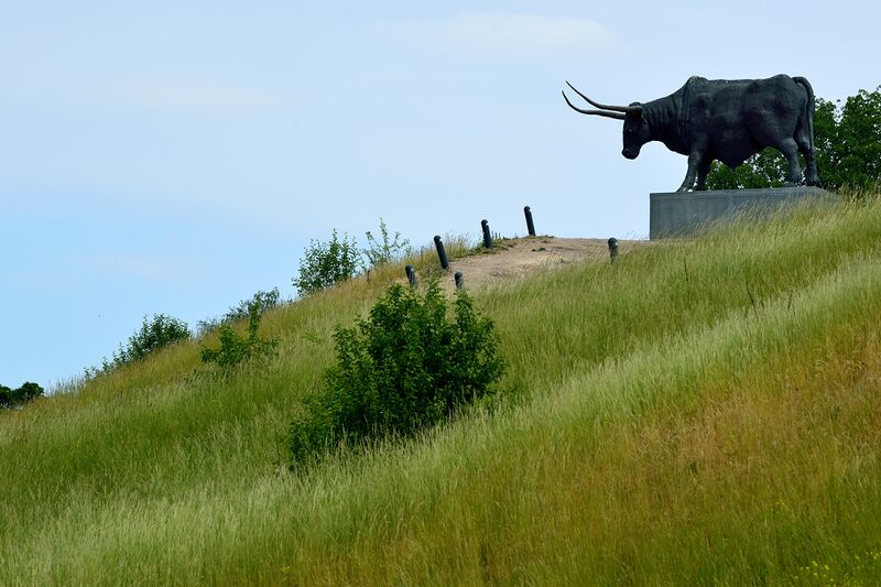 파일:230621 111126.jpg