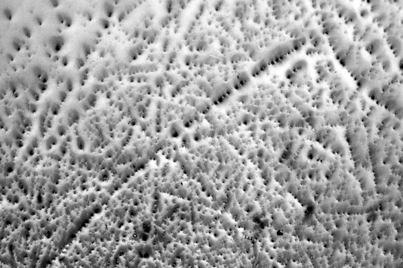 파일:air freshener01 005.jpg