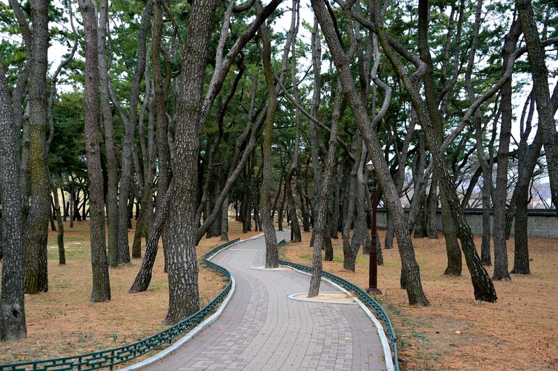 파일:221201 095850.jpg