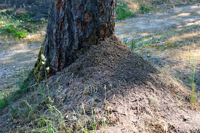 파일:230620 105244.jpg