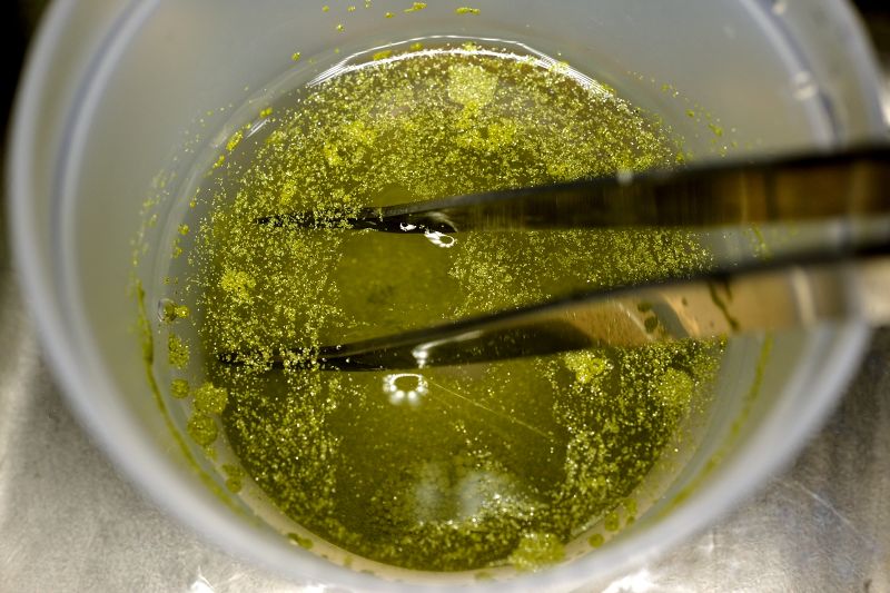 파일:diamond01 006.jpg