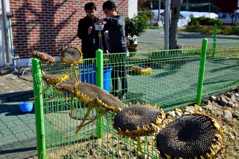 파일:kict03 008.jpg