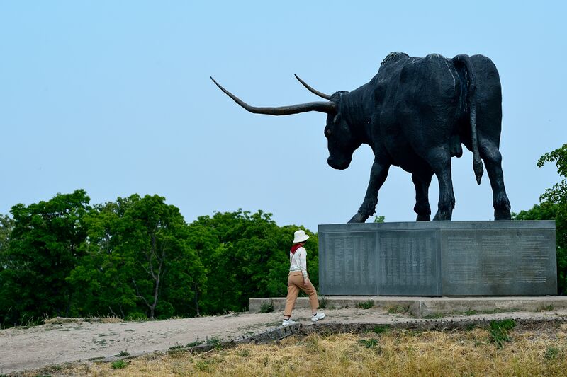 파일:230621 111646.jpg