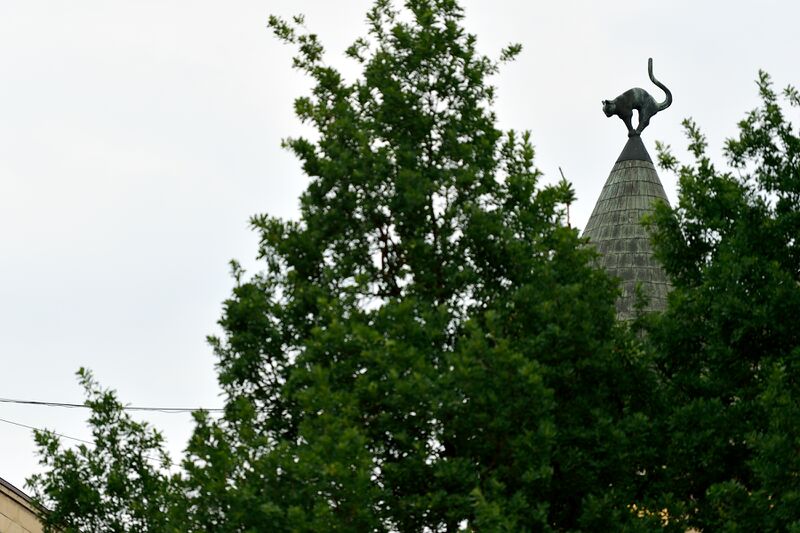 파일:230619 105354.jpg