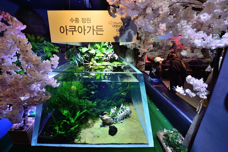 파일:220929 110156.jpg