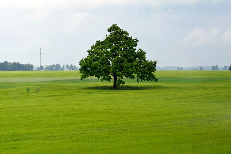 파일:230618 144704.jpg