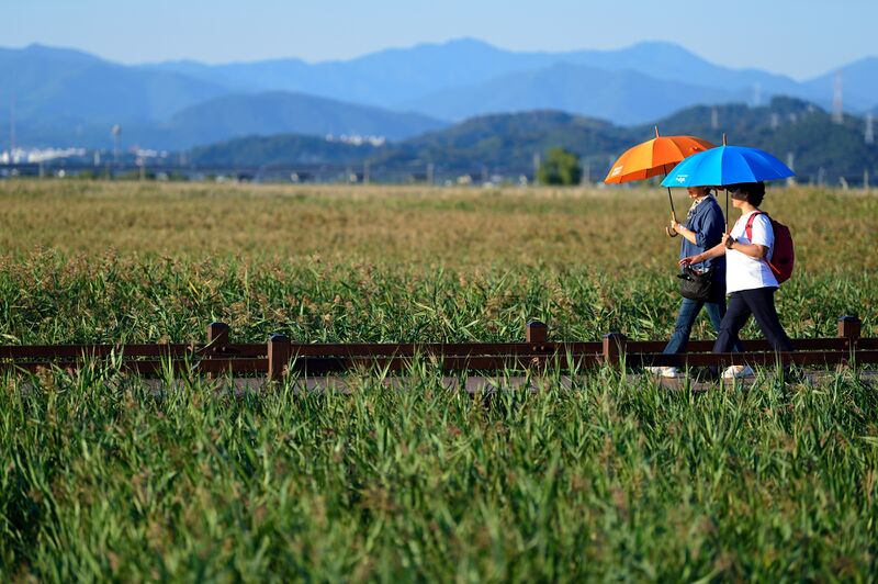 파일:220927 172722.jpg