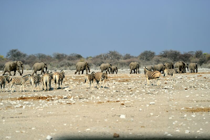 파일:240910 162432.jpg