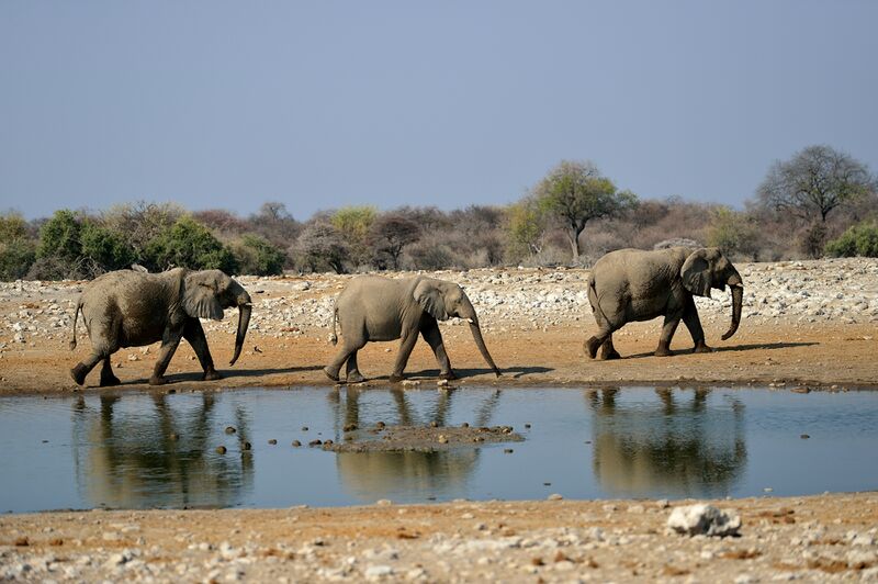 파일:240910 162238.jpg