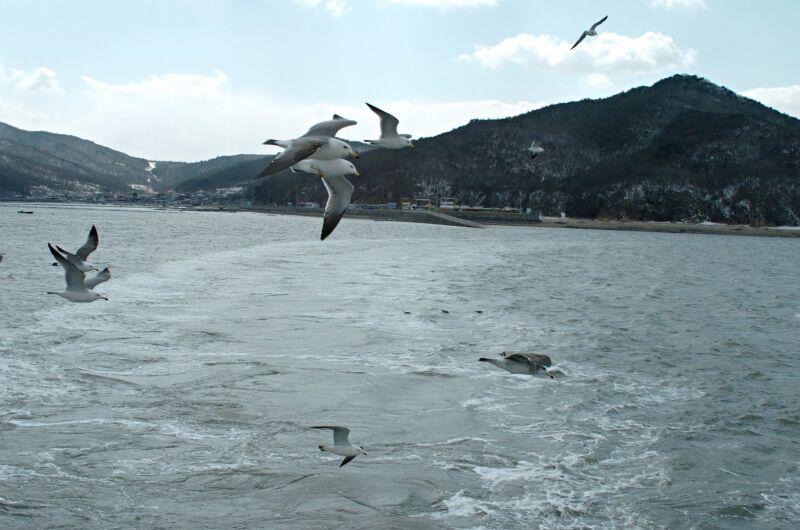 파일:muuido04 028.jpg