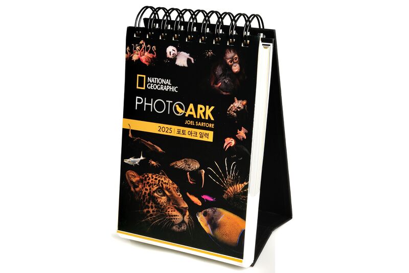 파일:calendar01 001.jpg