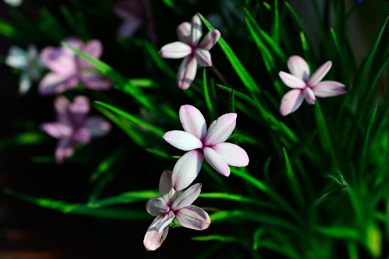 파일:220403 151238.jpg