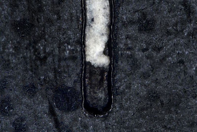 파일:sip koa01 004.jpg