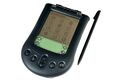 palm m100 001.jpg