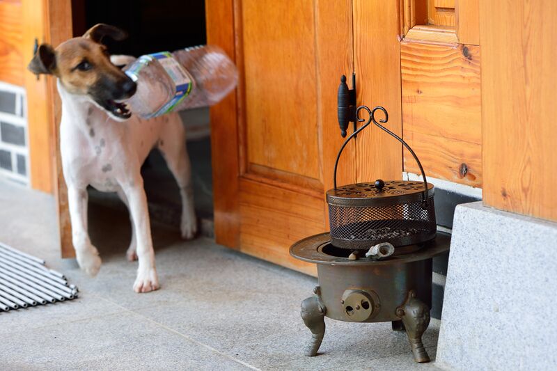 파일:210807 092612.jpg