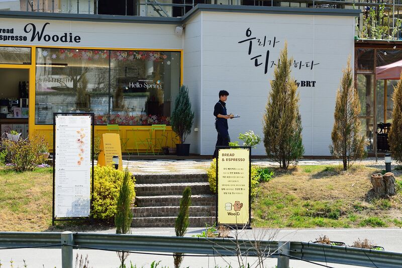 파일:woodie01 003.jpg