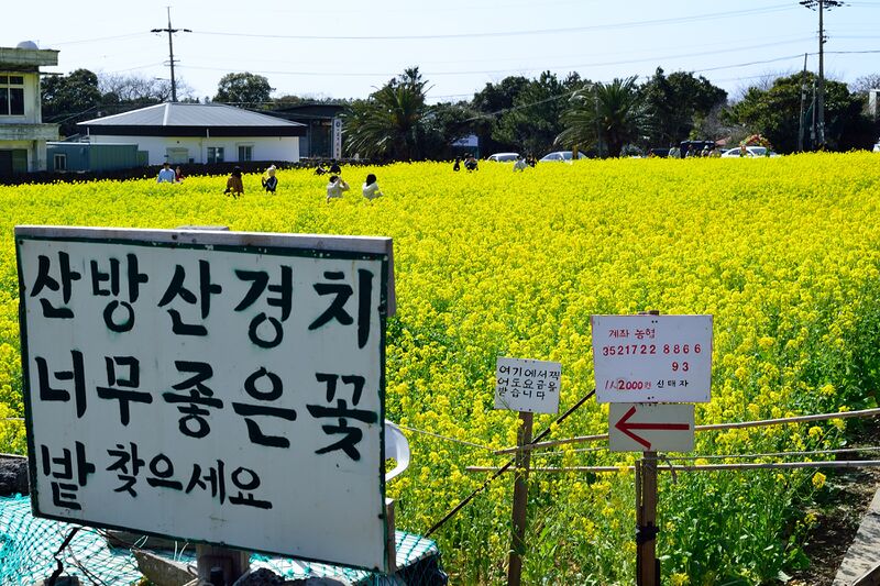 파일:260223 140720.jpg