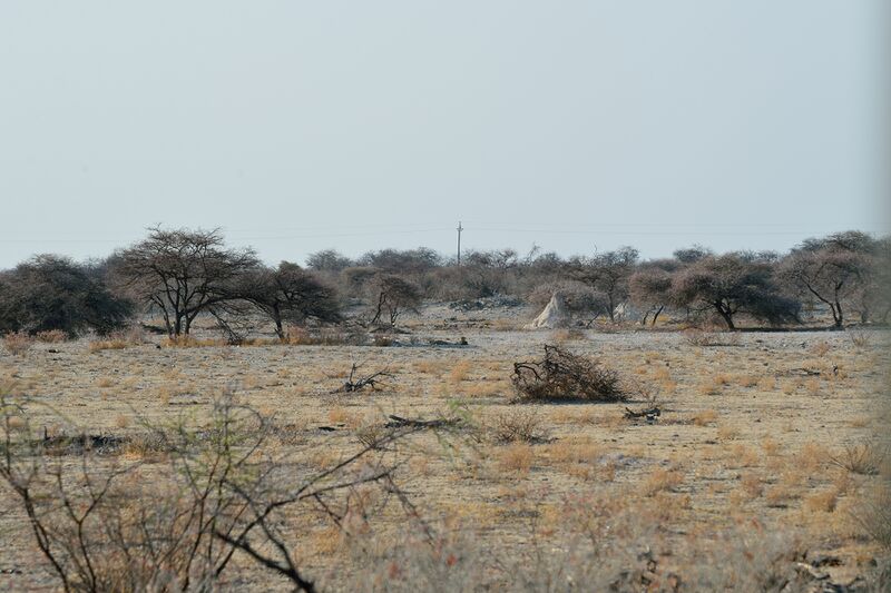 파일:240910 083017.jpg