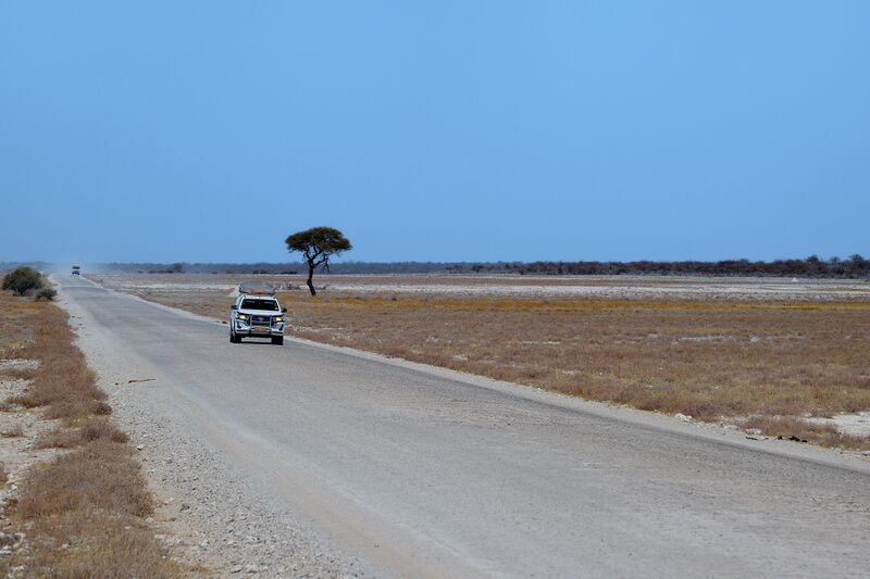 파일:240910 104834.jpg