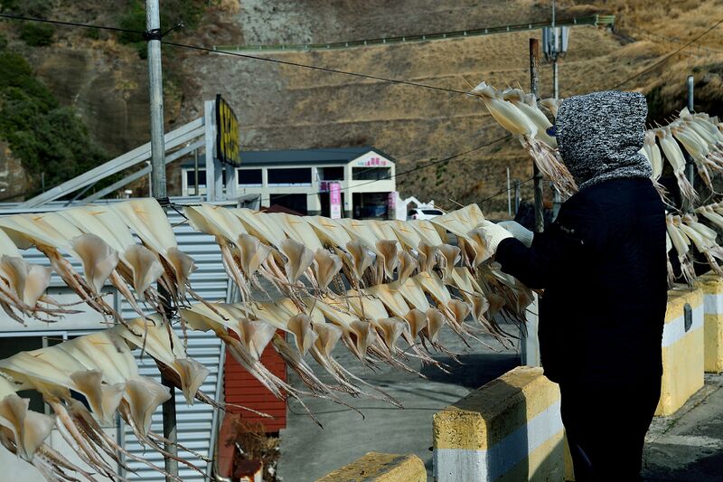 파일:260222 150150.jpg