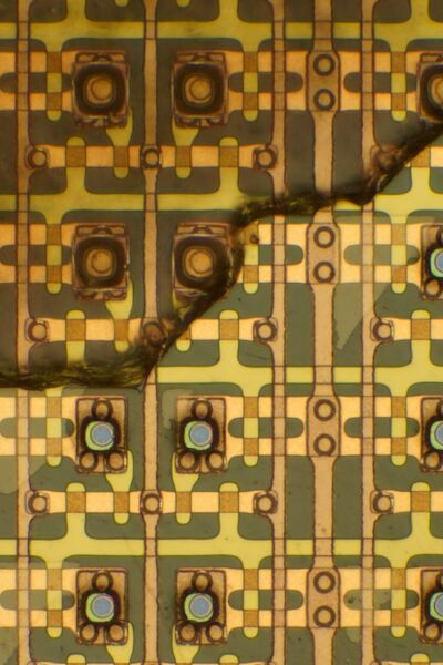 파일:s10 5g01 028.jpg